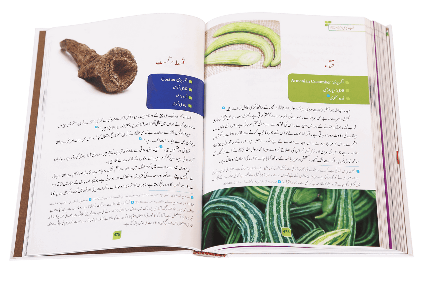 Tib-e-Nabwi by Ibn al Qayyim - Urdu | طب النبوي: امام ابن قیم