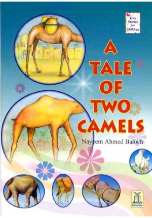 A Tale of Two Camels - English - Soft
