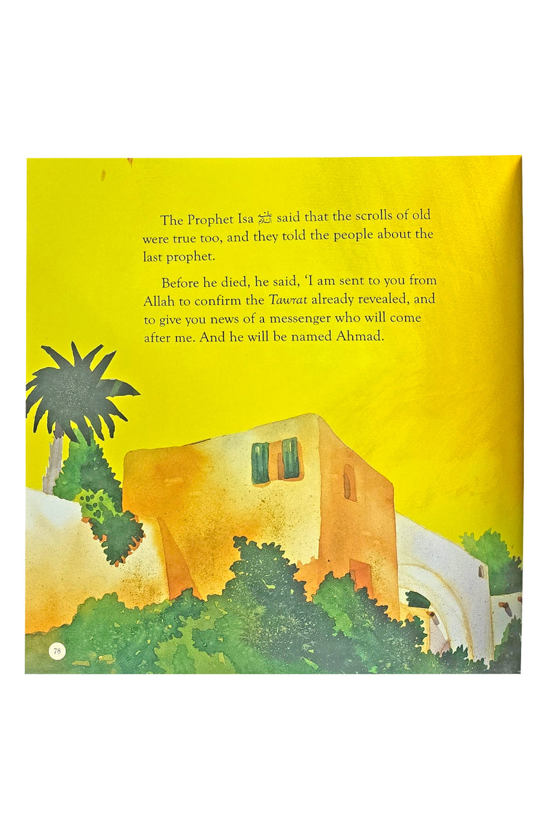 Children's Quran Stories — Illustrated Islamic Stories from the Quran for Muslim Children | Darussalam