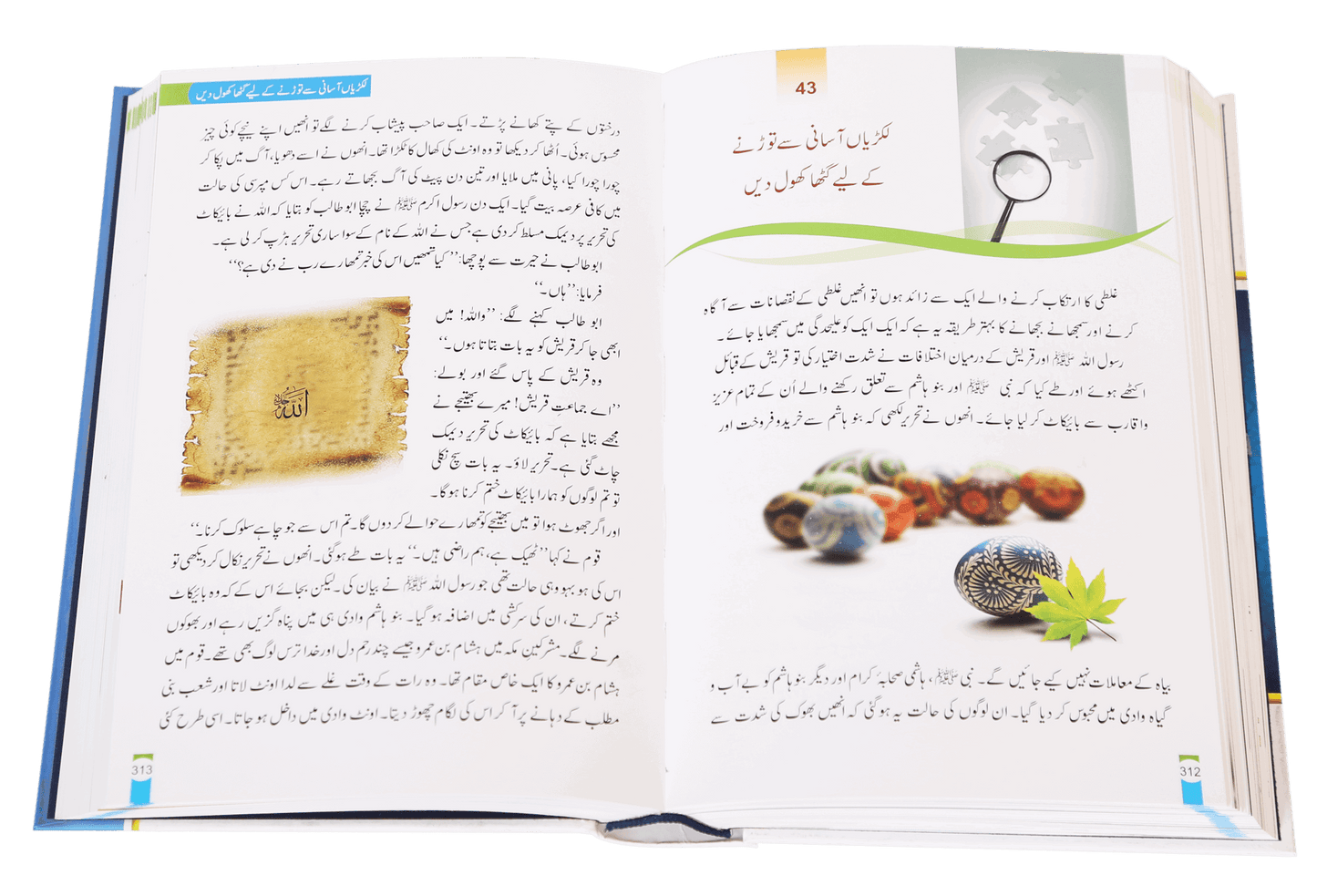 Enjoy Your Life | Zindagi Se Lutf Uthaye 