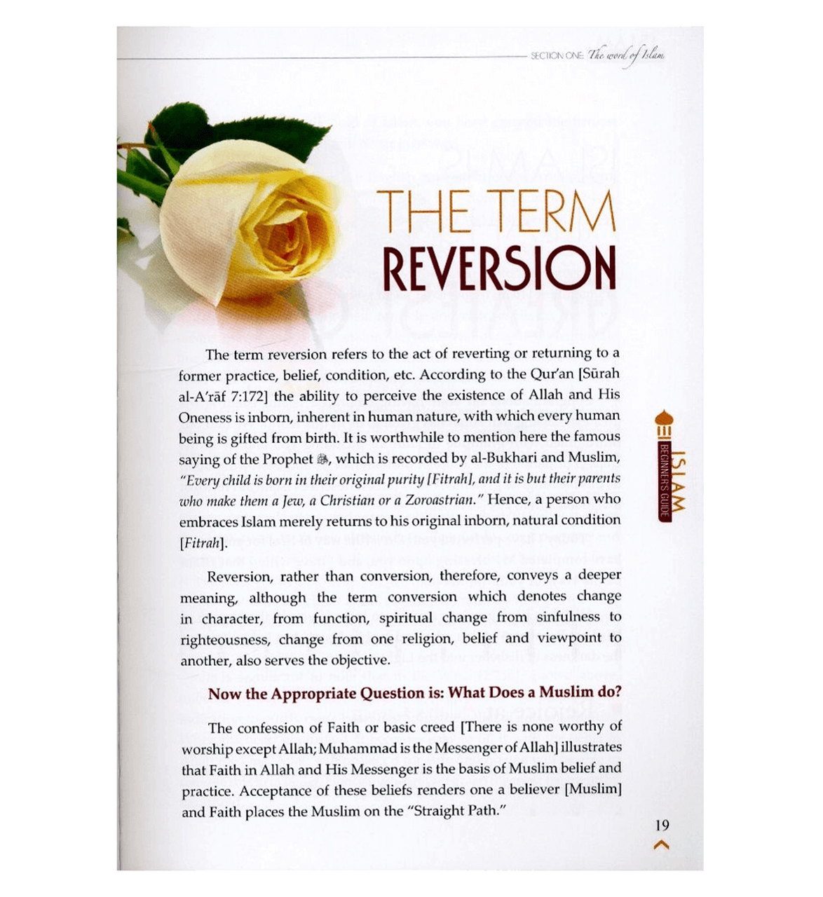 Islam A Total Beginner's Guide (Part 1)