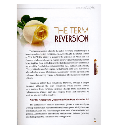 Islam A Total Beginner's Guide (Part 1)