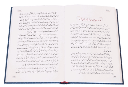 Sunehray Naqoosh by Abdul Malik Mujahid