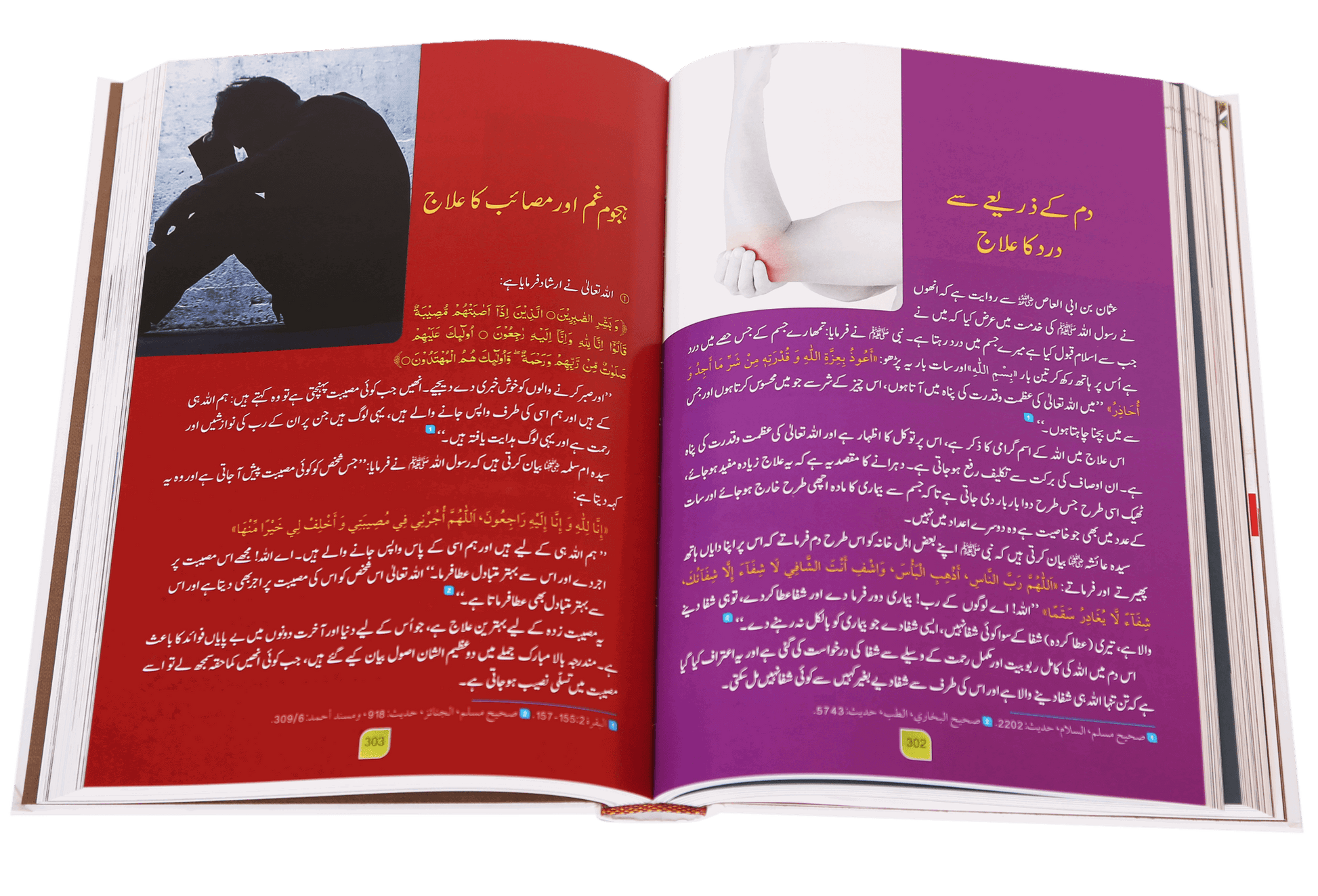 Tib-e-Nabwi by Ibn al Qayyim - Urdu | طب النبوي: امام ابن قیم