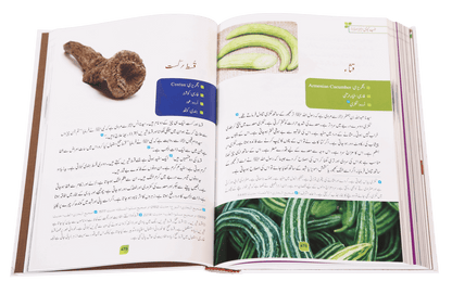 Tib-e-Nabwi by Ibn al Qayyim - Urdu | طب النبوي: امام ابن قیم