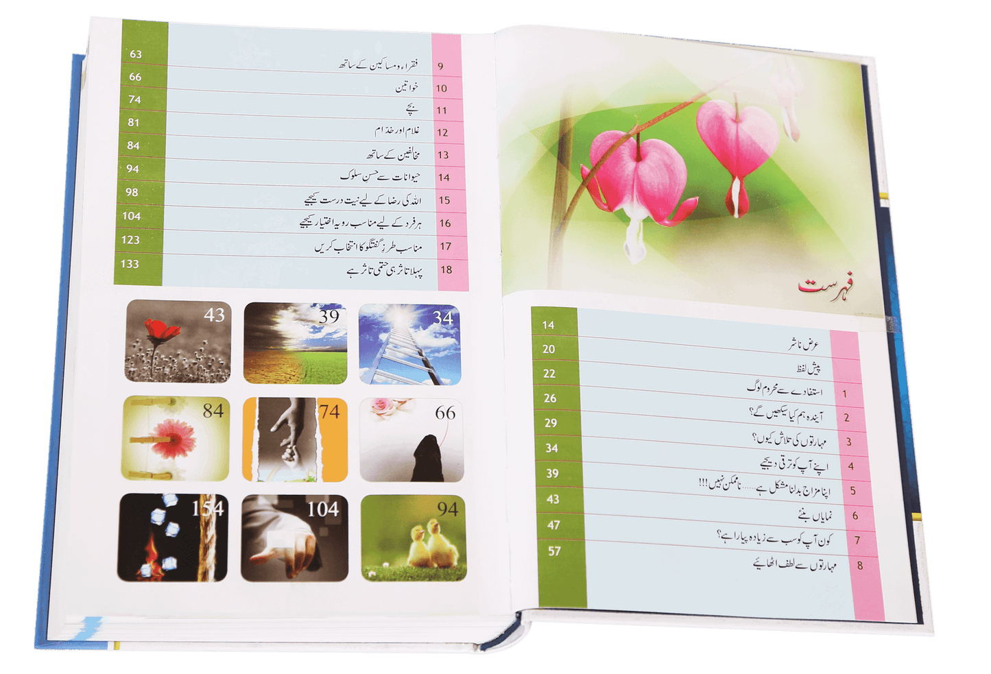 Enjoy Your Life | Zindagi Se Lutf Uthaye | زندگی سے لطف اٹھایئے