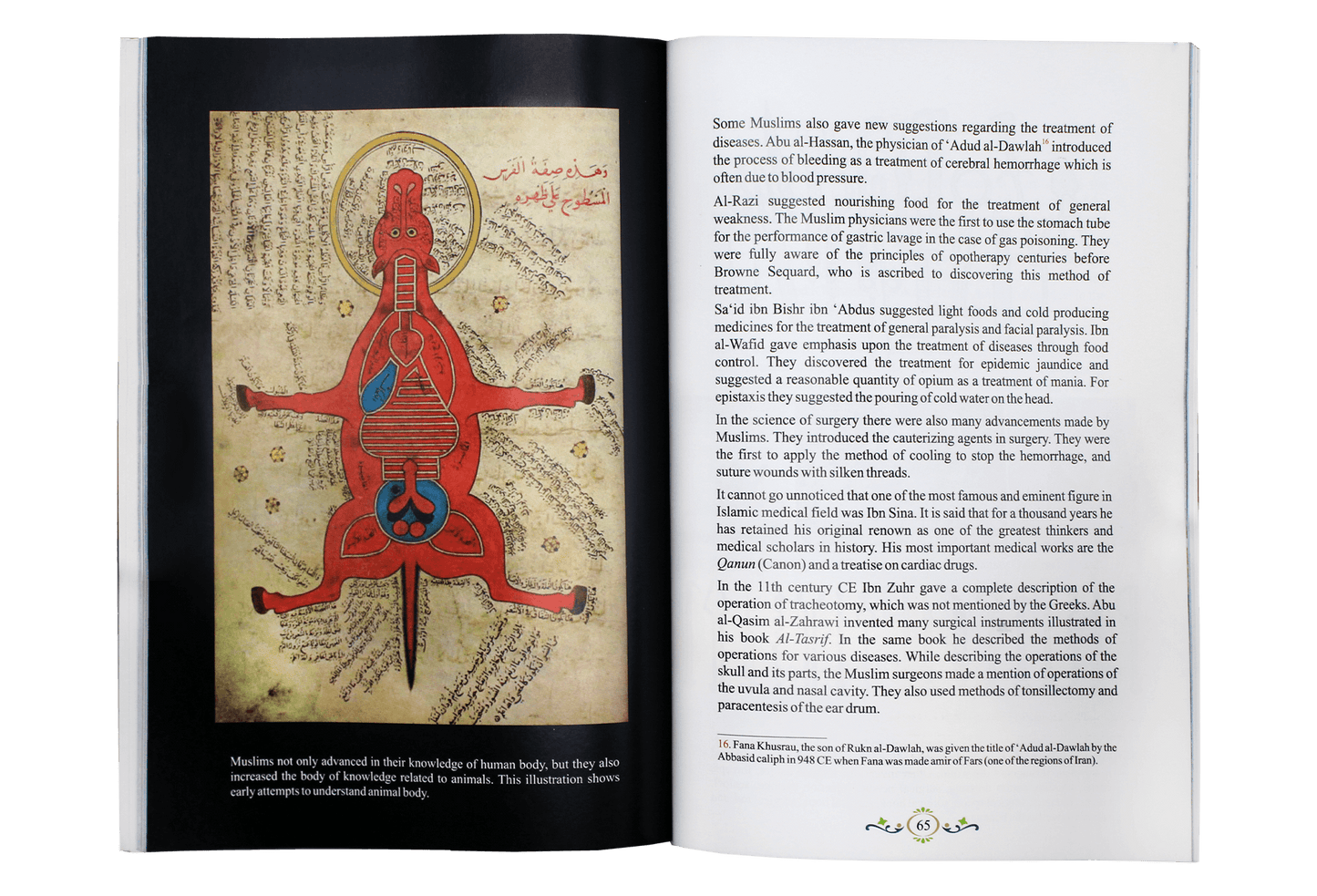 Development of Science and Technology in Islamic History