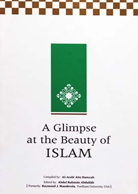 A Glimpse at the Beauty of Islam