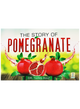 The Story Of Pomegranate - English