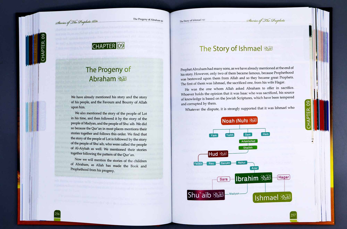 Stories of the Prophets (Peace be upon them)