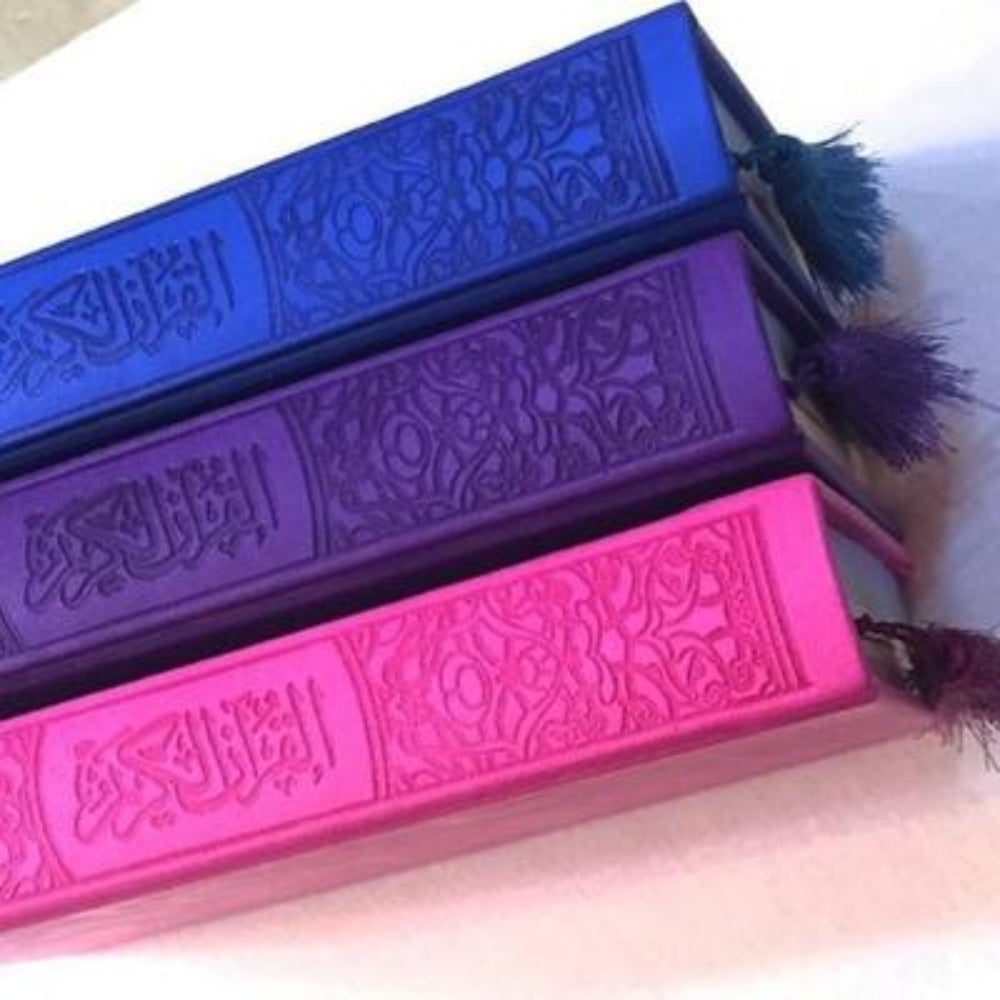Leather Embossed Rainbow Quran In beautiful different leather cover (17x24) 