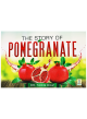 The Story Of Pomegranate - English